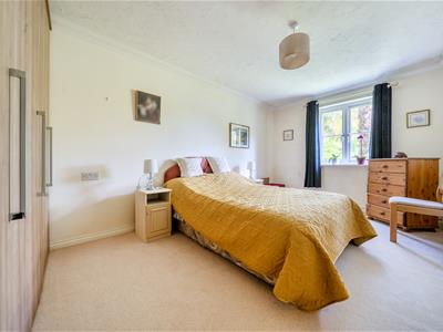 Picture 9